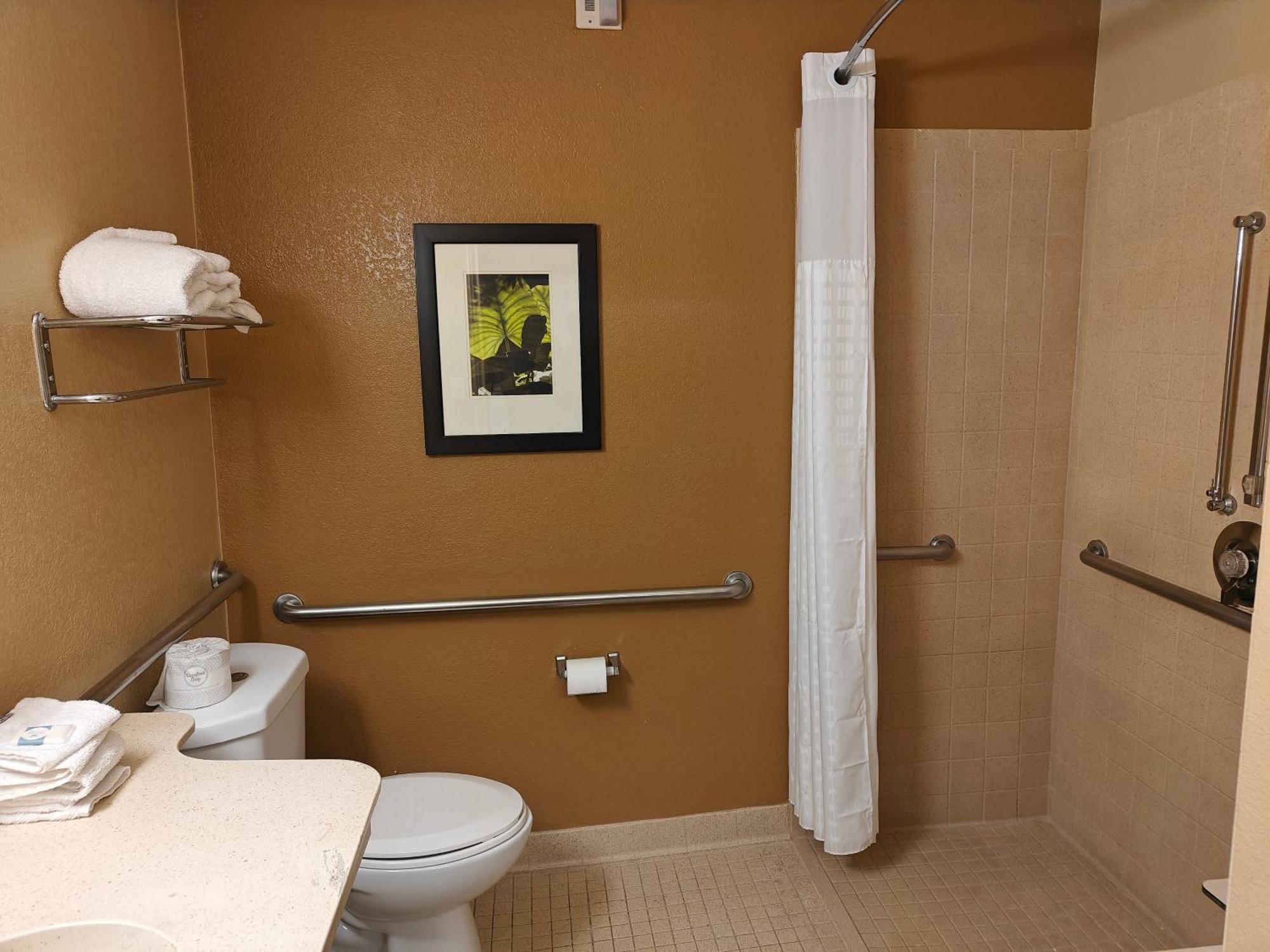 Hawthorn Extended By Wyndham Dfw Airport North Hotel Irving